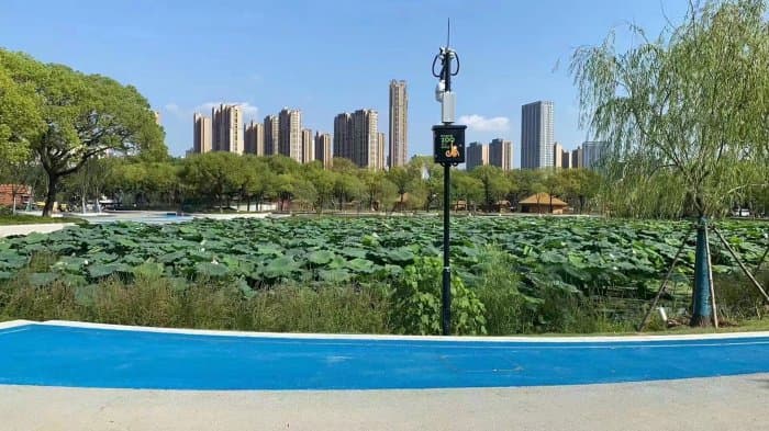 武昌区沙湖公园 - 沥青路面施工案例